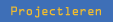 Projectleren